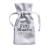 Fifty Shades of Grey Something Forbidden Buttplug