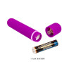 Baile Magic X10 mini Vibrator