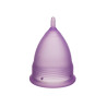 Aneer Silikone Menstruations Cup