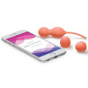 We-Vibe Bloom Bækkenbundskugler