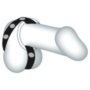 Sextreme Læderrem med Penisring