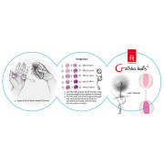 Gvibe Geisha Balls2 Bækkenbundskugler