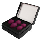 Svakom Nova Bækkenbundskugle Sæt