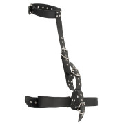 Vegan Fetish Halsbånd med Taljelænke