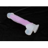 You2Toys Glow in the Dark Selvlysende Dildo Silikone