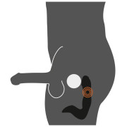 Rebel Genopladelig Mellemkøds og Prostata Stimulator