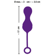 Sweet Smile Genopladelig Fjernstyret Bækkenbundskugler