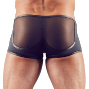 Svenjoyment Gennemsigtige Pants