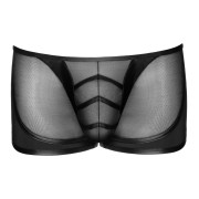 Svenjoyment Gennemsigtige Pants