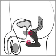 Svakom Vick Neo App-styret Prostata Vibrator