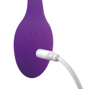 Adrien Lastic Smart Dream Vibrator Æg