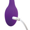 Adrien Lastic Smart Dream Vibrator Æg