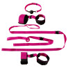 Fetish Fantasy Pink Passion Bondage Kit