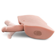 PDX Male Interaktiv Fuck Him Silly Masturbator