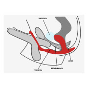 Fun Factory Bootie Ring Med Prostata Stimulator