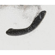 Womanizer OG Suction Vibrator