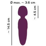 You2Toys Petite Wand Mind Blowing Vibrator