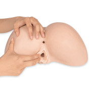 Silexd Daphne Silikone Ass Masturbator