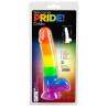 You2Toys Pride Silikone Sugekop Dildo