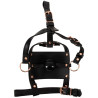 Bad Kitty Hoved Harness med Gagball