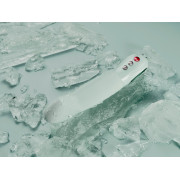 Fun Factory Stronic G Forte Pulsator