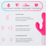 Lovense Nora Rabbit Vibrator App Styret