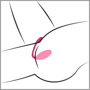 Lovense Lush 3 App-Styret G-punkts Vibrator