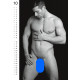 Real Cocks Penis Kalender 2026