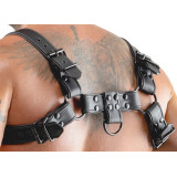 Svenjoyment Bryst Harness til Mænd | Sexnetto