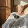 The Handy 2 Automatisk Handjob Maskine