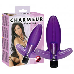 You2Toys Charmeur Analvibe You2Toys Charmeur Analvibe