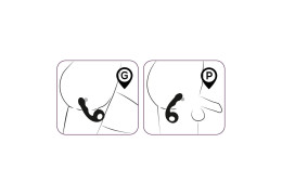 Prostata massage og stimulation